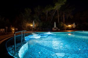 Gunite Pool Nighttime Paradise